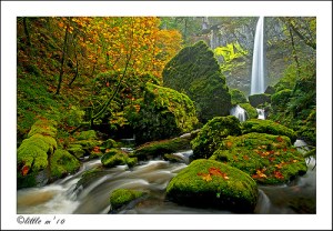 6471814809_0f8e1438ec